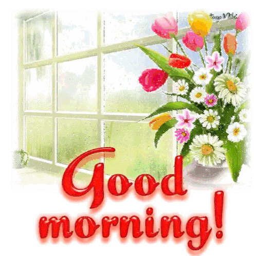 Bouquet of Flowers With Good Morning