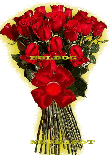 Bouquet of Red Roses Boldog