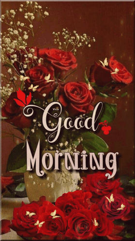 Bouquet of Red Roses Good Morning