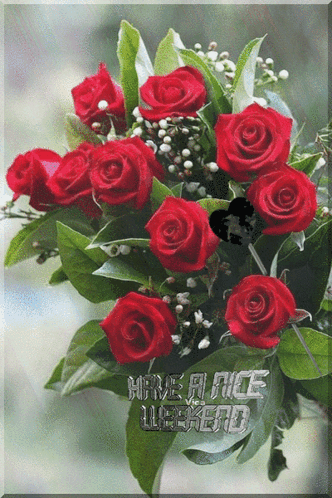 Bouquet of Red Roses Have a Nice Weekend