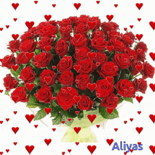 Bouquet of Red Roses With Red Hearts and Aliyas
