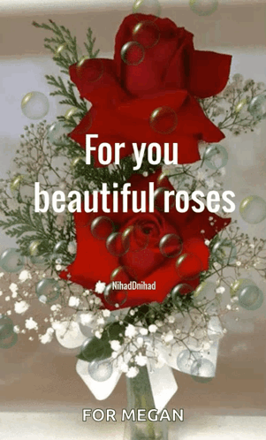 Bouquet of Roses For You Beautiful Roses