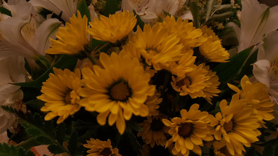 Bouquet Of Yellow Flowers GIF