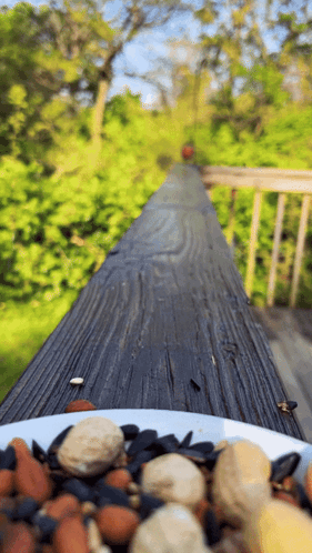 Bowl of Nuts on Wooden Table