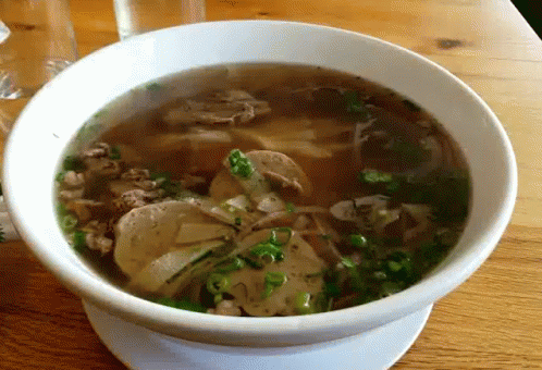 Bowl of Soup With Meat and Green Onions