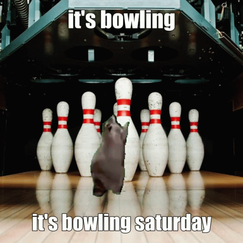 Saturday Bowling Alley GIF