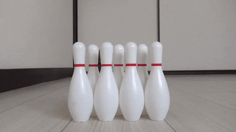 Bowling Cat Playing Pins GIF