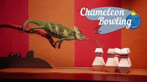 Bowling Chameleon 3 Pins GIF