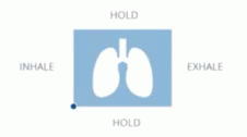 Box Breathing Lung Guide GIF