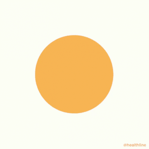 Box Breathing Pink Orange Circle Guide GIF