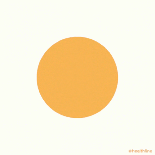 Box Breathing Pink Orange Circle Guide GIF