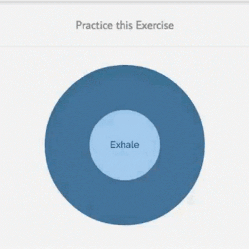 Box Breathing Practice Exercise Guide GIF