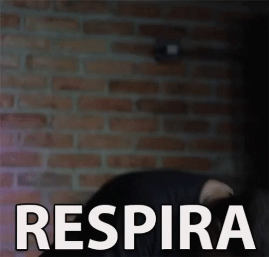Box Breathing Respira GIF
