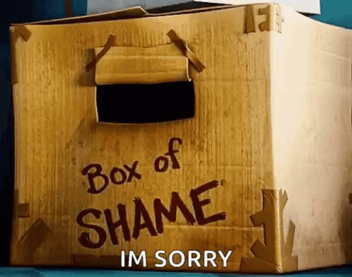 Box Of Shame Cardboard Box GIF