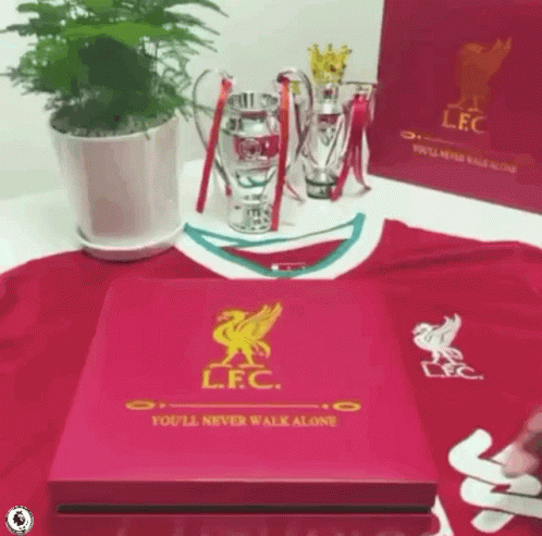 Box Saying You'll Never Walk Alone on Red Shirt