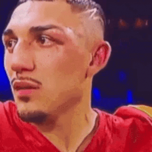 Boxer in Red Shirt Looking at Camera