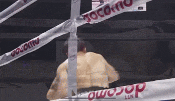 Boxer In Ring With Docomo Banner GIF