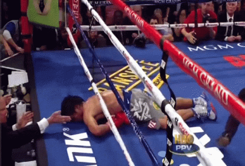 Boxer Laying in Ring with MGM Grand Advertisement