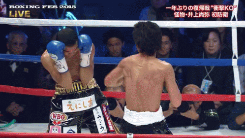 Boxers In Ring At Boxing Fes 2015 GIF