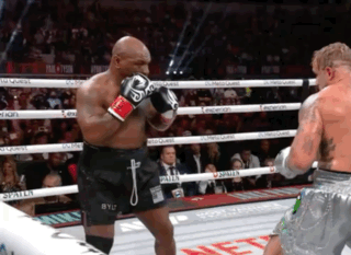 Boxers In Ring One Wearing BYU Shorts GIF
