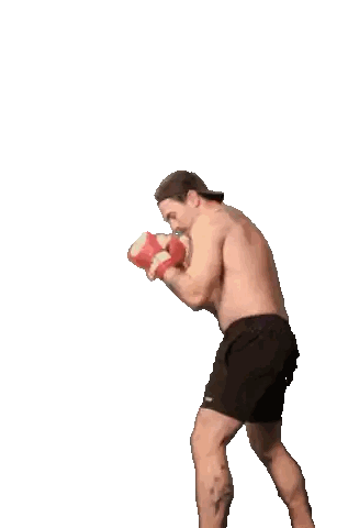 Boxing Bears With PK