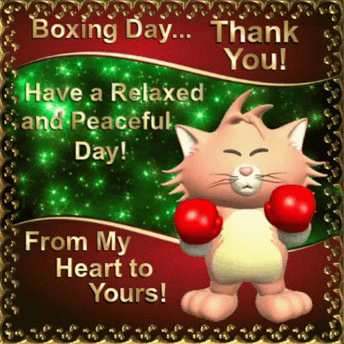 Boxing Day Cat with Red Boxing Gloves