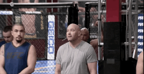 Boxing Fighter Coin Flip GIF