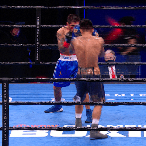Boxing Knockout Backflip GIF