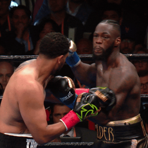 Boxing Knockout Breazeale In One Punch GIF