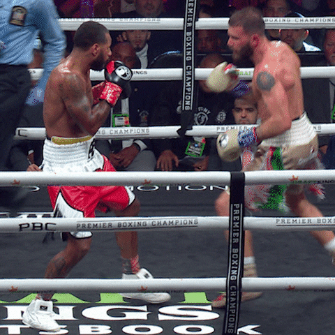 Boxing Knockout Caleb Plant GIF