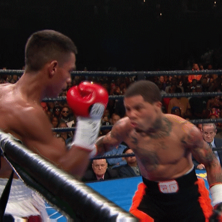 Boxing Knockout Davis Vs Romero GIF