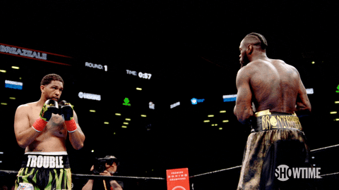 Boxing Knockout Deontay Wilder GIF