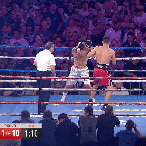 Boxing Knockout Inside Ring GIF