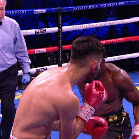 Boxing Knockout Lineal Boxing Champion GIF