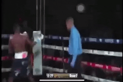 Boxing Knockout Mad Punch GIF