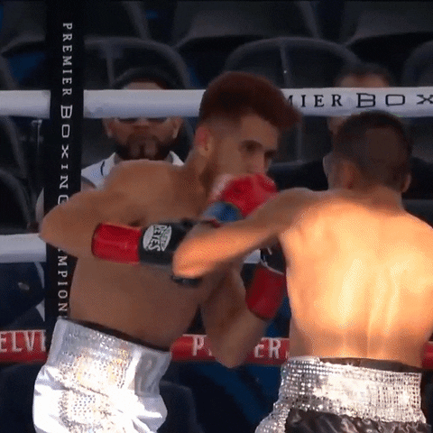 Boxing Knockout Premium Champions GIF