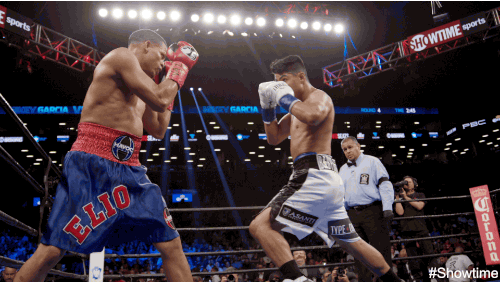 Boxing Knockout Punching GIF