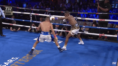Boxing Knockout Ramirez Triumphs GIF