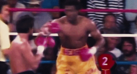 Boxing Knockout Roberto Duran GIF