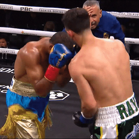 Boxing Knockout Zoom In Edwin De Los Santos GIF