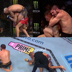 Boxing Match Collage With Prine Bottle GIF