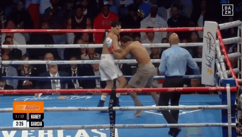 Boxing Match Haney Garcia vs Another Boxer