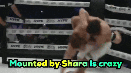 Boxing Match Mounted by Shara Is Crazy