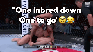 Boxing Match That's Right Beg To Bobby GIF