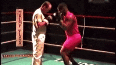 Boxing Match Trump Tax Sign GIF