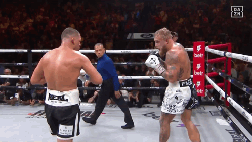 Boxing Nate Diaz Versus Jake Paul GIF