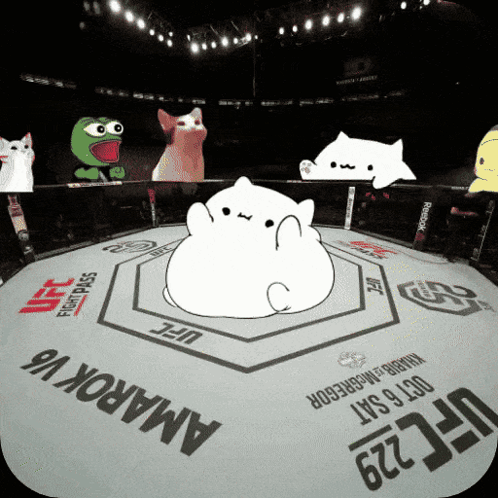 Boxing Ring with UFC Logo