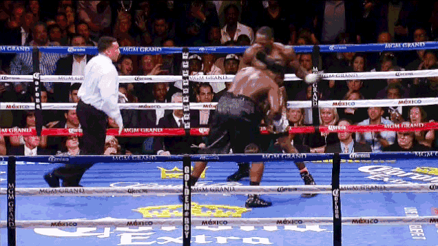 Boxing Tackle GIF