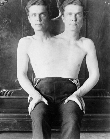 Boy 1 Body 2 Heads Freak GIF