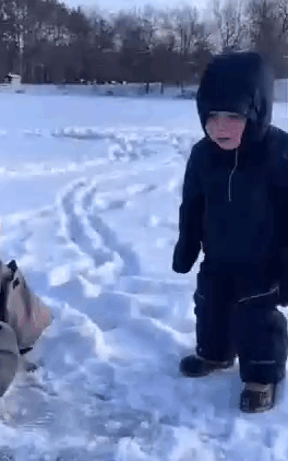 Boy and Dog Playing in Snow